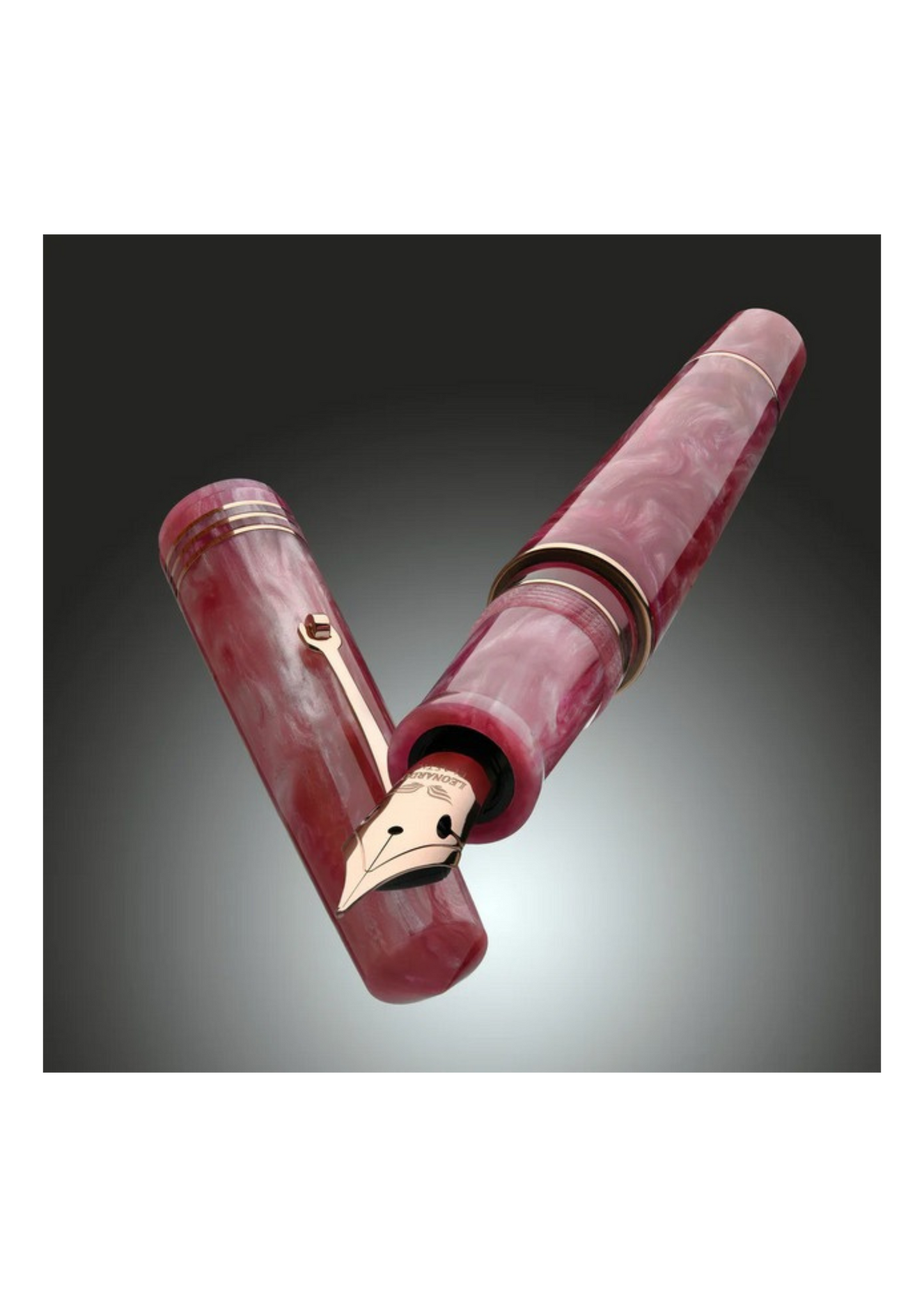 LEONARDO MZG2.0 SAKURA – pennino in acciaio n. 6